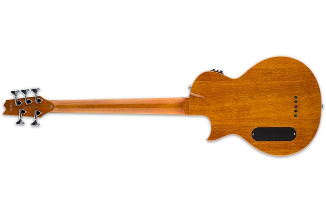 Chitară bas cu 5 corzi LTD TL-5SM Natural Gloss