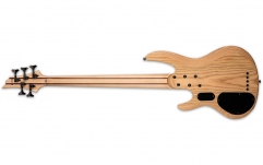 Chitară bass ESP LTD B-205SM FRETLESS NS NATURAL SATIN