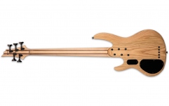 Chitară bass LTD B-205SM FRETLESS NS NATURAL SATIN