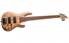 Chitară bass LTD B-205SM FRETLESS NS NATURAL SATIN