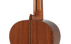 Chitara clasică 4/4 Manuel Rodriguez Magistral Serie D-C all solid Cedar