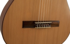 Chitară clasică 7/8 Manuel Rodriguez Tradicion Serie T-62 7/8