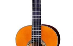 Chitara clasica Aria AK-20 3/4