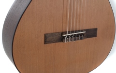 Chitară clasică Caballero by Manuel Rodriguez Principio Serie C CA-CM 4/4 Cedar