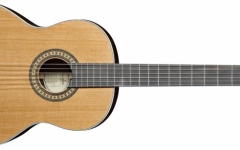 Chitară clasică Fender CN-320 AS