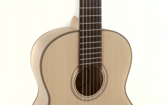 Chitara clasica Gewa Chitara clasica Pro Natura Silver  1/2 