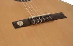 Chitara clasica  Gewa Pro Arte GC 100 A Marimea 7/8