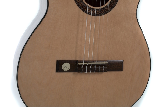 Chitară clasică Gewa Pro Arte GC 210 4/4