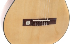 Chitara clasica Gewa Pro Arte GC 75 A 3/4 Stanga