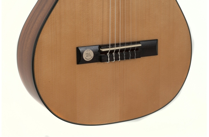 Chitara clasica Gewa Pro Arte GC 75 A Marimea 3/4