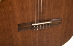 Chitară clasică Gewa Pro Arte GC-Antique Antique