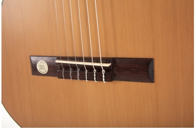 Chitara clasica Gewa  Pro Arte Maestro CM-100 7/8 Stanga