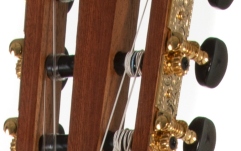 Chitara clasica Gewa  Pro Arte Maestro CM-100 7/8 Stanga