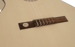 Chitară clasică Gewa Pro Natura Silver 4/4