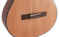 Chitara clasica Gewa  Student Cedar 3/4 natur