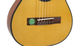 Chitara clasica Gewa  Student Solid Top 1/4 Natur