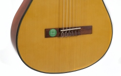 Chitara clasica Gewa  Student Solid Top 3/4 Natur