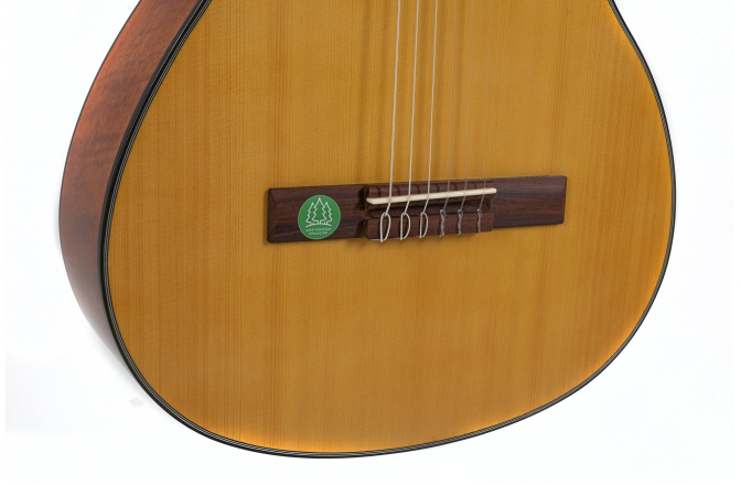 Chitara clasica  Gewa  Student Solid Top 4/4 Natur
