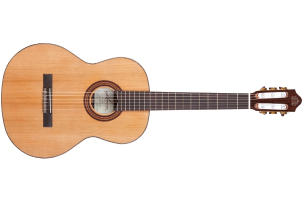 Artist Fiesta FC Solid Red Cedar/Solid Indian Rosewood Artist Fiesta FC Solid Red Cedar/Solid Indian Rosewood