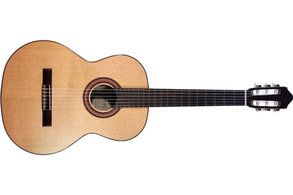 Soloist Fiesta F65C Solid Red Cedar/Indian Rosewood Veneer Soloist Fiesta F65C Solid Red Cedar/Indian Rosewood Veneer