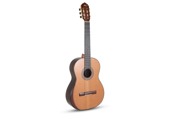 Magistral Serie F-C ind. Palisander all solid Cedar/Rosewood