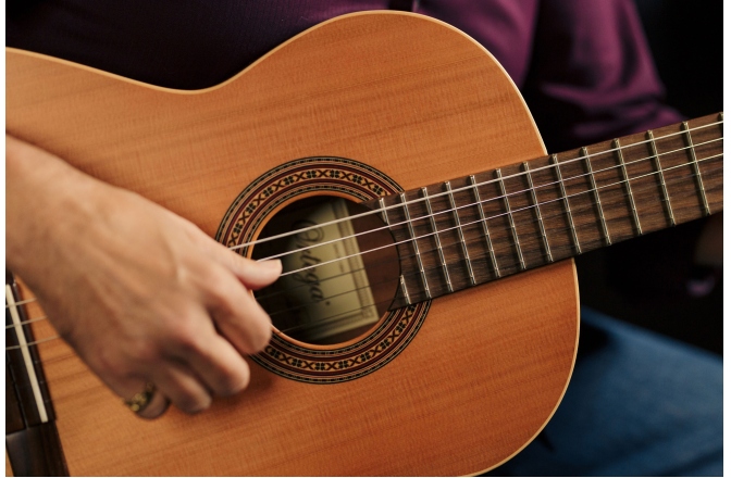 Chitară Clasică Ortega R180 Classical Traditional 4/4 