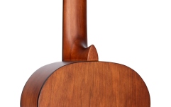 Chitară clasică Ortega Student Series Pro Classical Guitar 6 String DeLuxe - Bourban Fade Semi gloss Finish