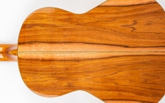 Chitară de Flamenco Kremona Rosa Artista Solid Spruce/Patagonian Rosewood