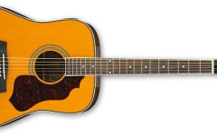 Chitara Dreadnaught Ibanez SGT120E ATN
