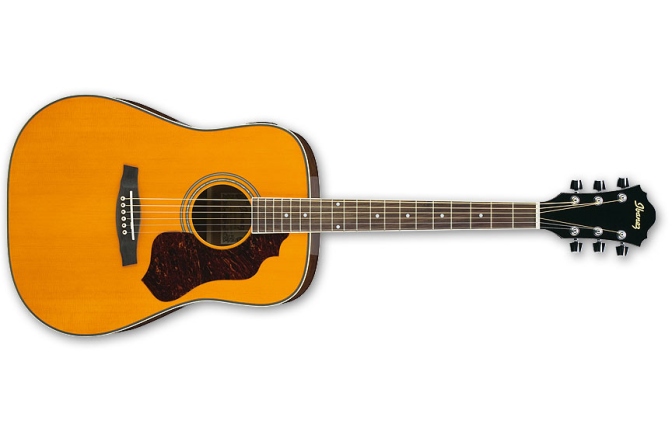 Chitara Dreadnaught Ibanez SGT120E ATN