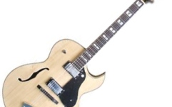 Chitara electrica de jazz Washburn J3