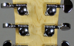 Chitara electrica de jazz Washburn J3