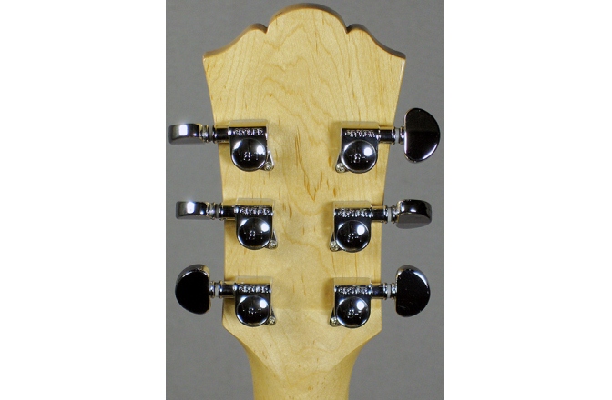 Chitara electrica de jazz Washburn J3