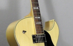 Chitara electrica de jazz Washburn J3