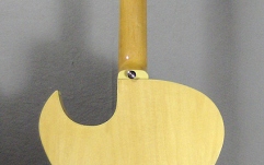 Chitara electrica de jazz Washburn J3