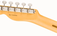 Chitară electrică Fender American Professional Classic Telecaster RW Faded Dakota Red