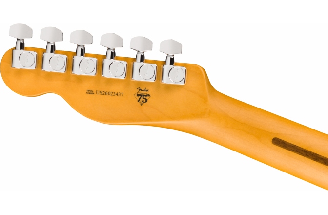 Elektromos gitár Fender American Professional Hot Shot Telecaster Rosewood Fingerboard Dark Night