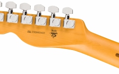 Elektromos gitár Fender American Professional Hot Shot Telecaster Rosewood Fingerboard Oxblood