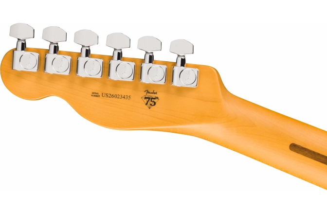 Elektromos gitár Fender American Professional Hot Shot Telecaster Rosewood Fingerboard Oxblood