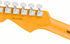 Electric Guitar Fender American Professional Stratocaster Dark Night