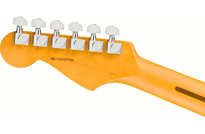 Electric Guitar Fender American Professional Stratocaster Dark Night -  Rosewood Fingerboard