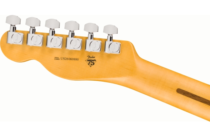 Elektromos gitár Fender American Professional Telecaster Maple Fingerboard Black