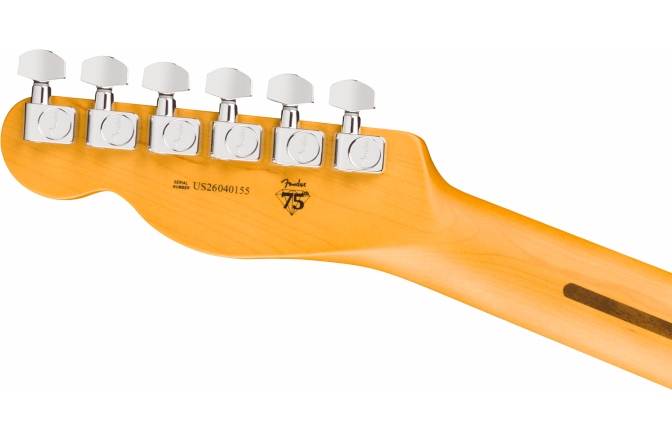 Elektromos gitár Fender American Professional Telecaster Rosewood Fingerboard Dark Night