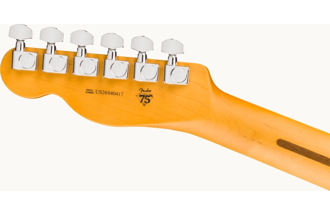 Elektromos gitár Fender American Professional Telecaster Rosewood Fingerboard Oxblood