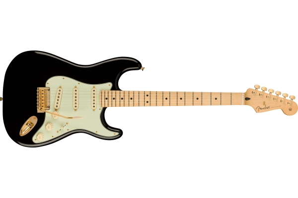 Limited Edition Player Stratocaster MN Black