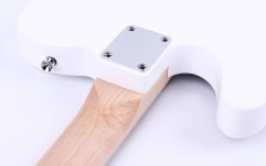 Chitară electrică Gould TE Style White
