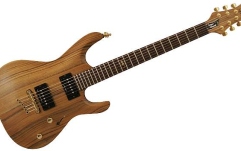 Chitara electrica Mayones Setius GTM Lizard