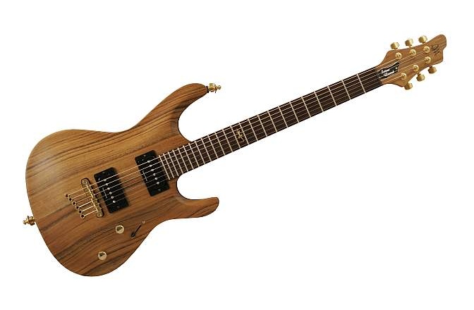 Chitara electrica Mayones Setius GTM Lizard