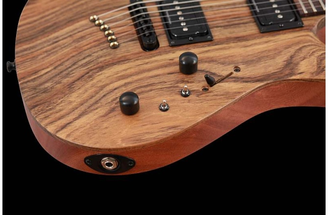 Chitara electrica Mayones Setius GTM Lizard