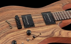 Chitara electrica Mayones Setius GTM Lizard